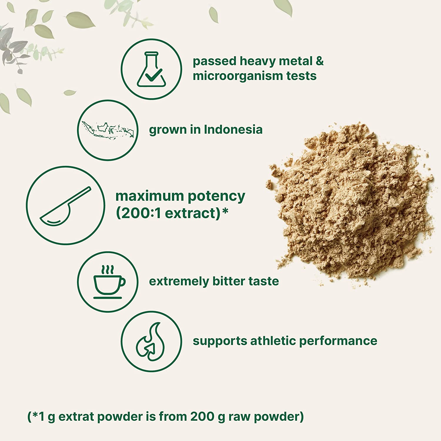 Tongkat Ali Extract 200:1 Concentrate Longjack Powder, 100 Grams - Image 3